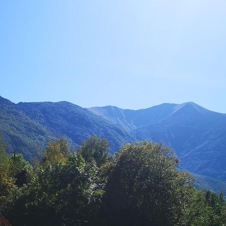 Le Bien-Etre De La Nature Séchilienne Extérieur photo
